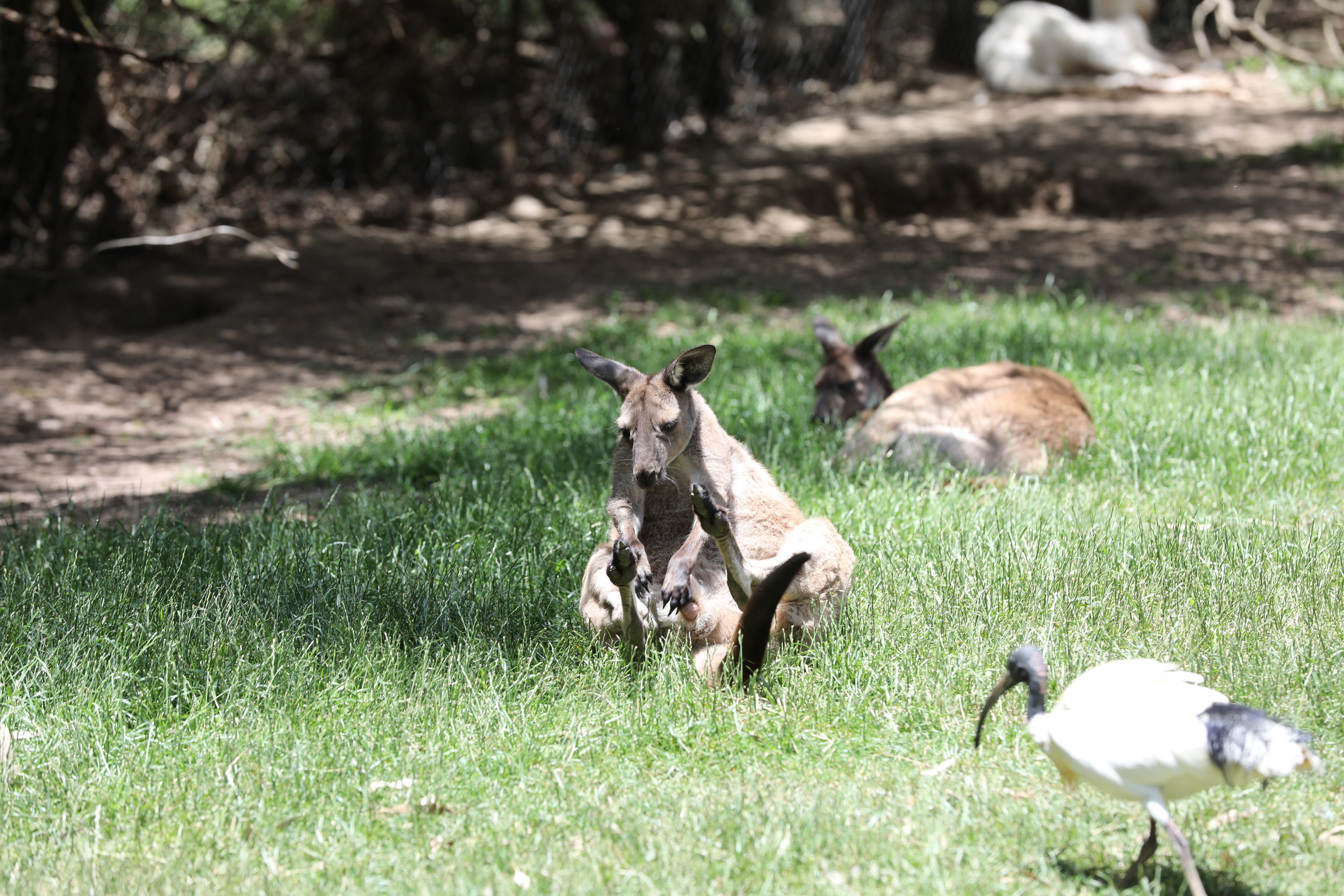 2019 11 22 14 05 04 Canon EOS 5D Mark IV 0012